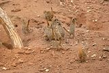 leipzig zoo-01_07_2011_zoo_allgemein_333